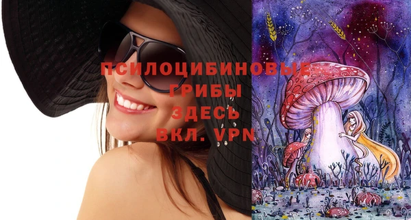 дистиллят марихуана Медногорск