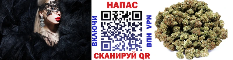 Шишки марихуана SATIVA & INDICA Купить закладки Щёкино
